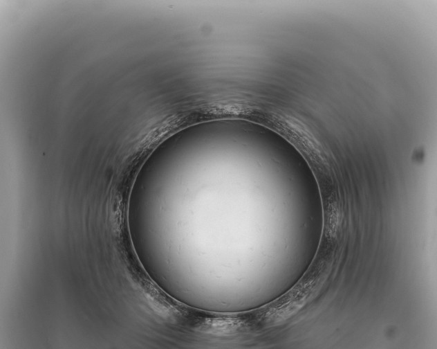 X0000095510414200712211244