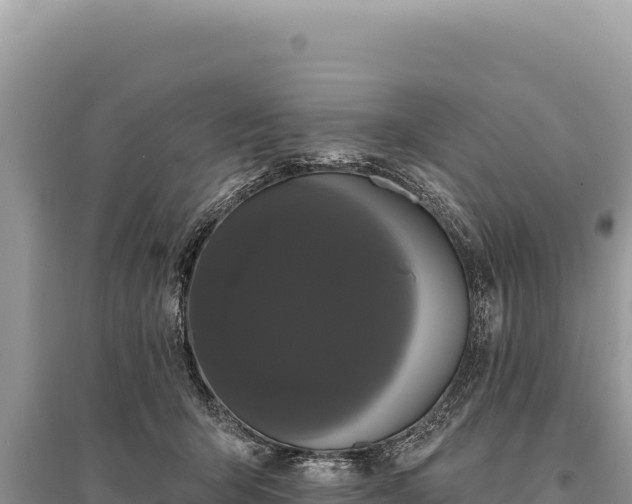 X0000095510415200712211244