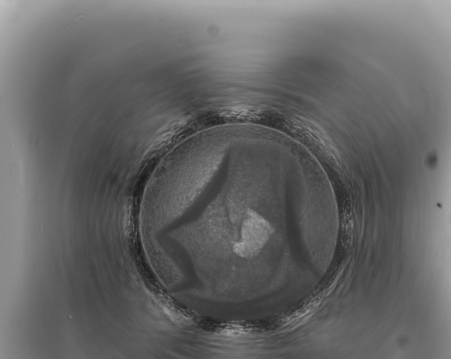 X0000095510416200712211244