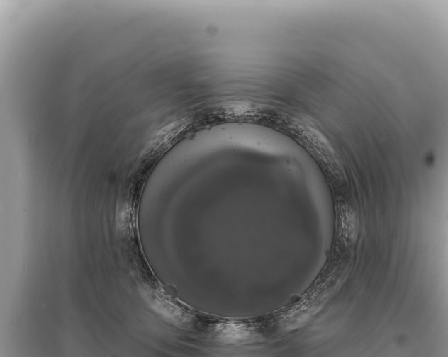 X0000095510419200712211244