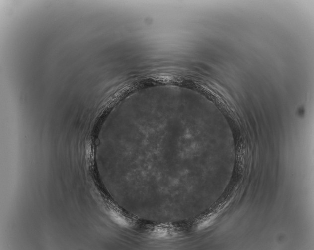 X0000095510420200712211244