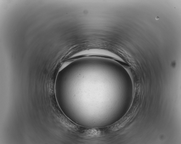 X0000095510421200712211244