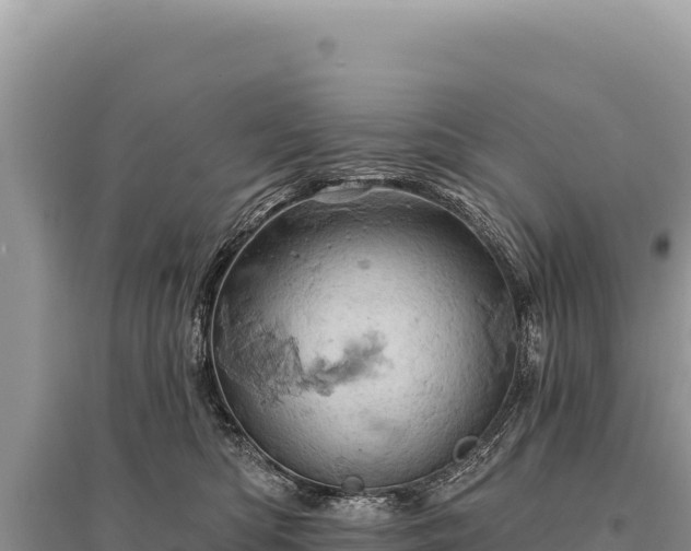 X0000095510422200712211244