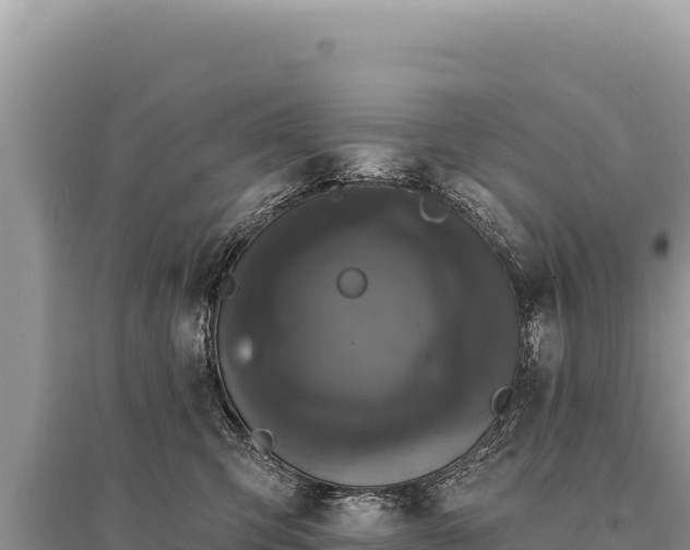 X0000095510423200712211244