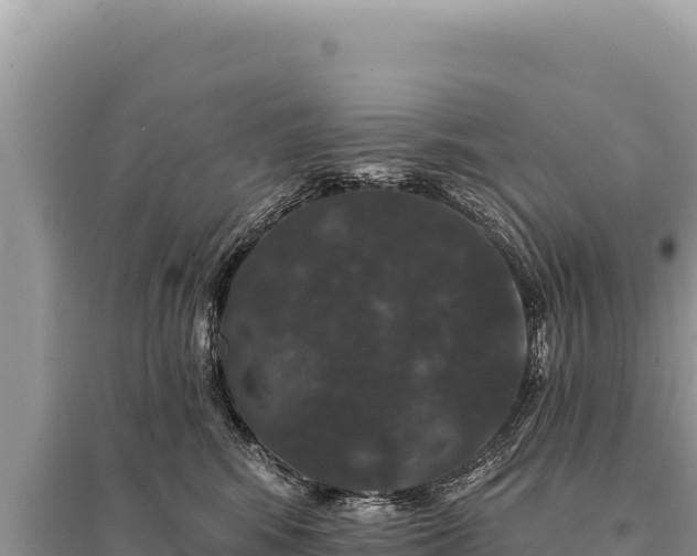 X0000095510424200712211244