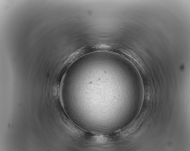 X0000095510425200712211244
