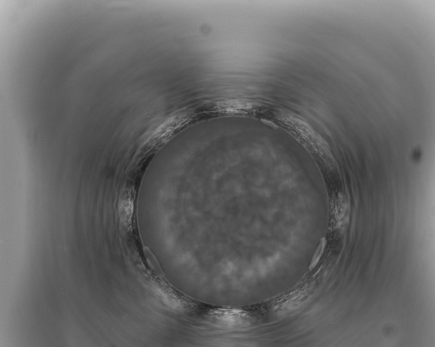 X0000095510427200712211244
