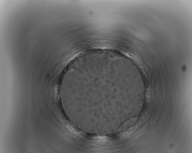 X0000095510428200712211244