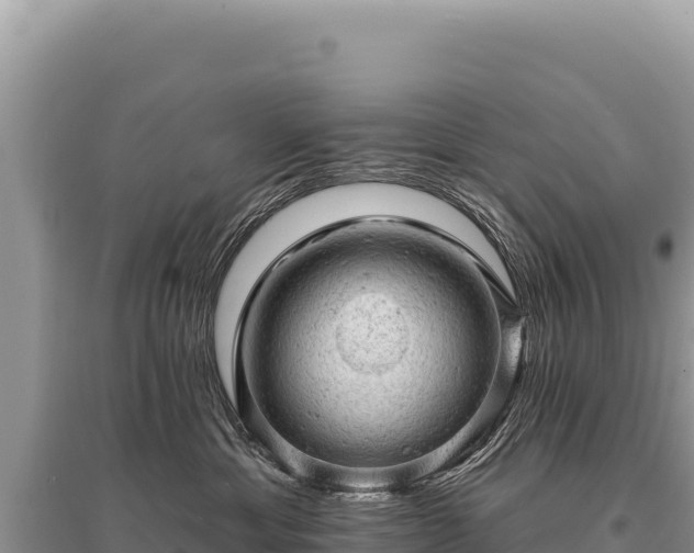X0000095510429200712211244