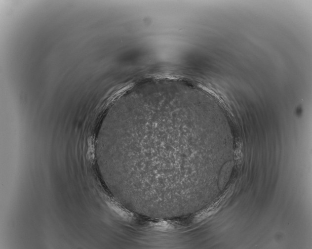 X0000095510430200712211244
