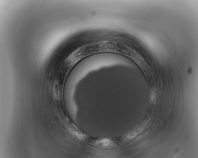 X0000095510431200712211244