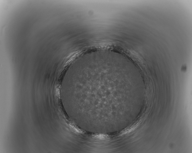 X0000095510432200712211244