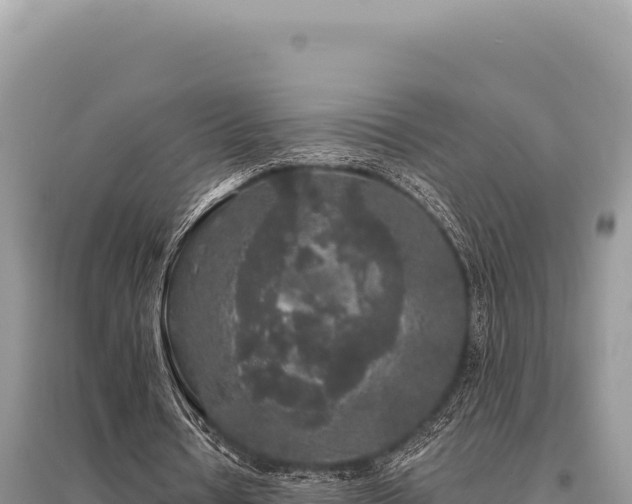 X0000095510434200712211243