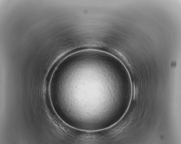 X0000095510435200712211243