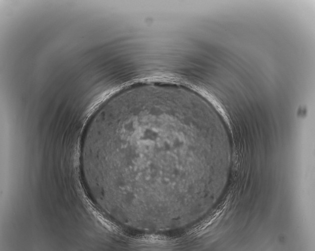 X0000095510437200712211243