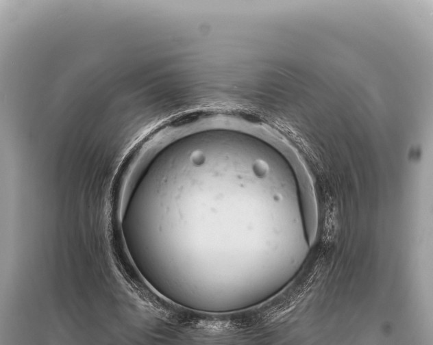 X0000095510440200712211243