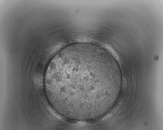 X0000095510441200712211243
