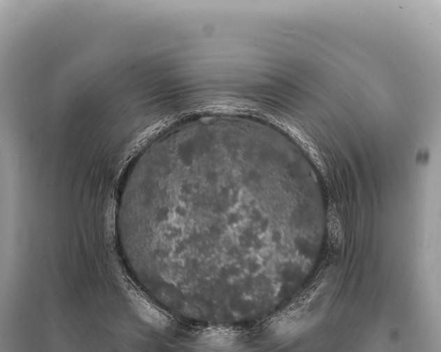 X0000095510445200712211243