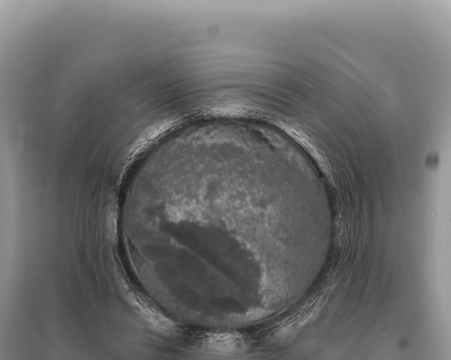 X0000095510446200712211243