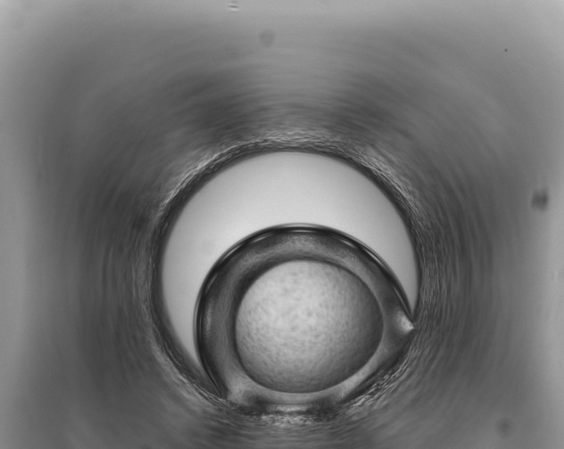 X0000095510448200712211243