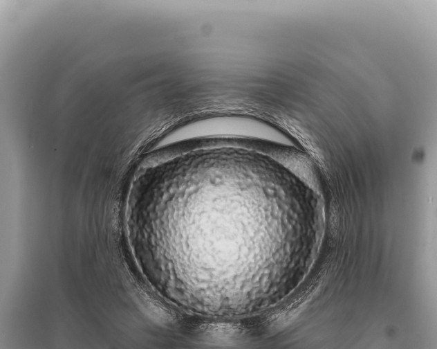 X0000095510449200712211243