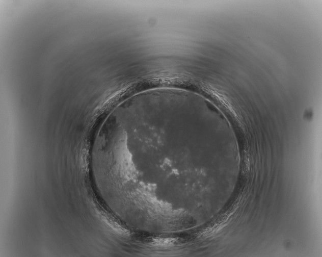 X0000095510450200712211244