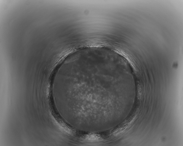 X0000095510451200712211244