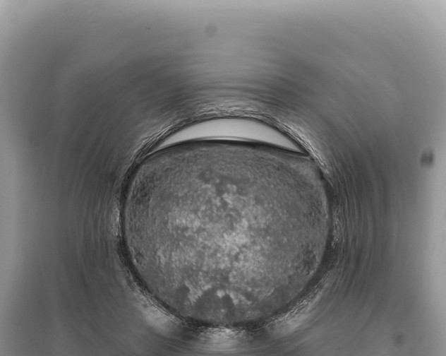 X0000095510453200712211244