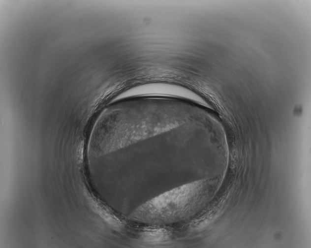 X0000095510454200712211244