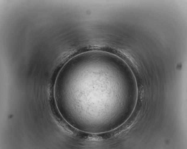 X0000095510455200712211244