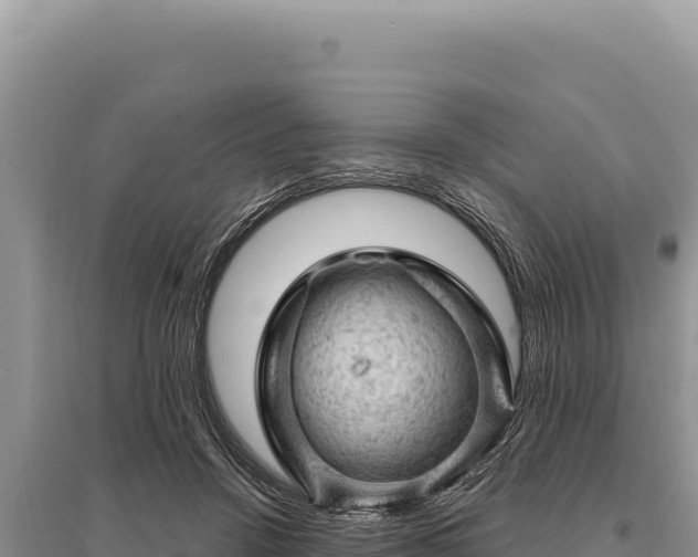 X0000095510456200712211244