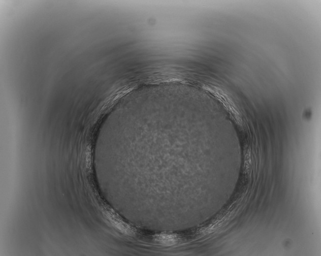 X0000095510457200712211244