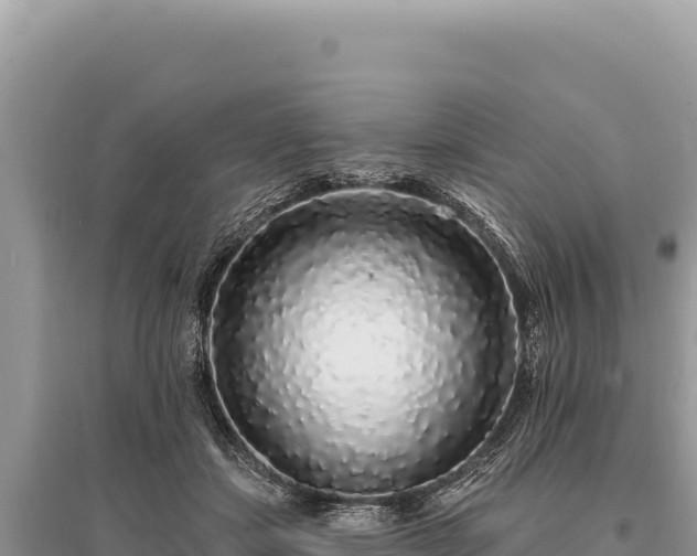 X0000095510459200712211244