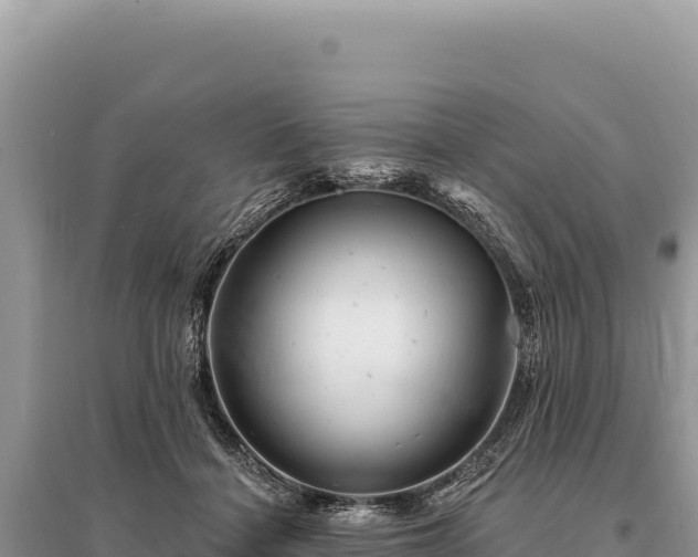 X0000095510460200712211244