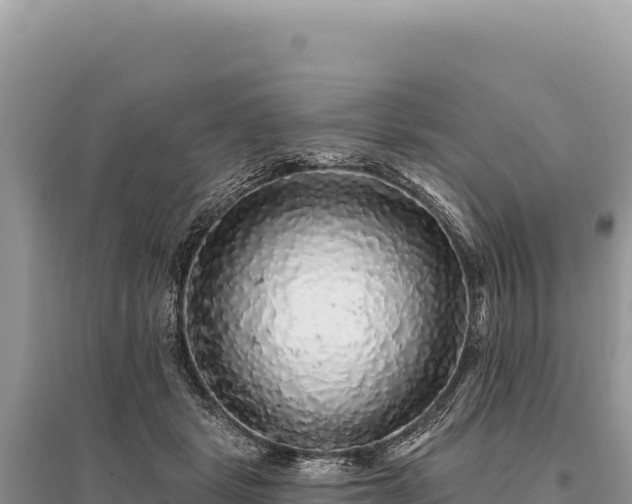 X0000095510461200712211244