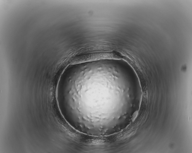 X0000095510462200712211244