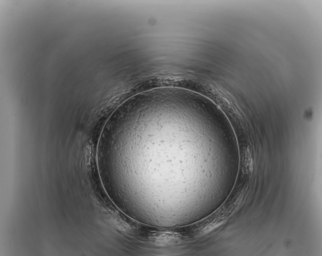 X0000095510463200712211244