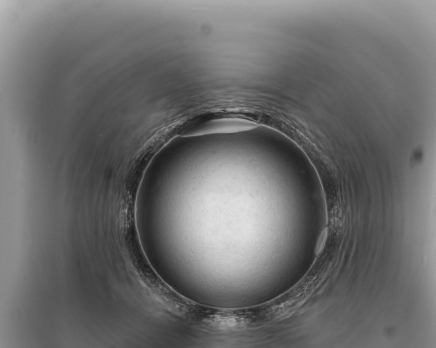 X0000095510464200712211244
