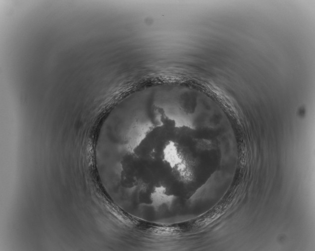 X0000095510465200712211244