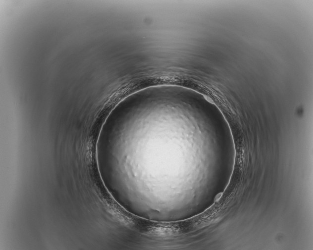 X0000095510466200712211244