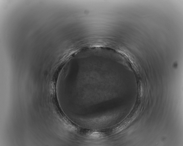 X0000095510467200712211244