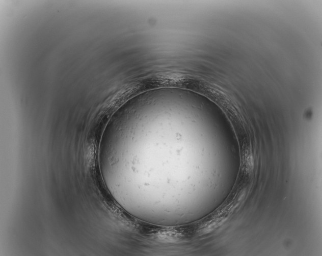X0000095510468200712211244