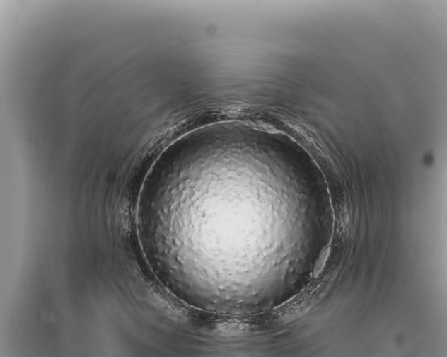 X0000095510470200712211244