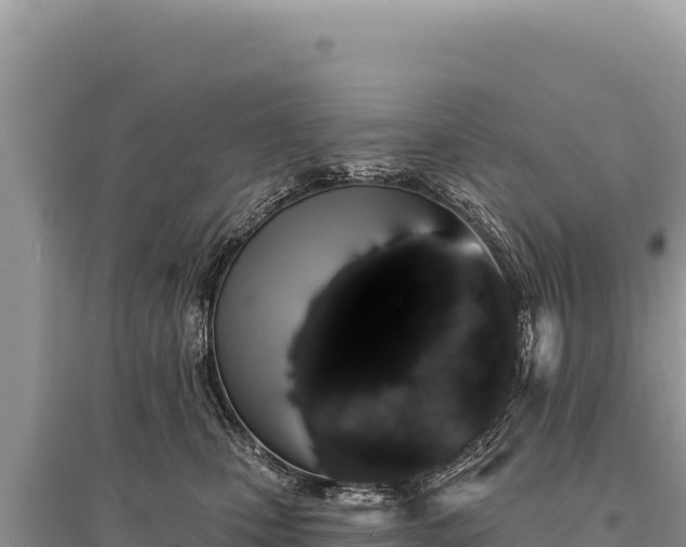 X0000095510471200712211244