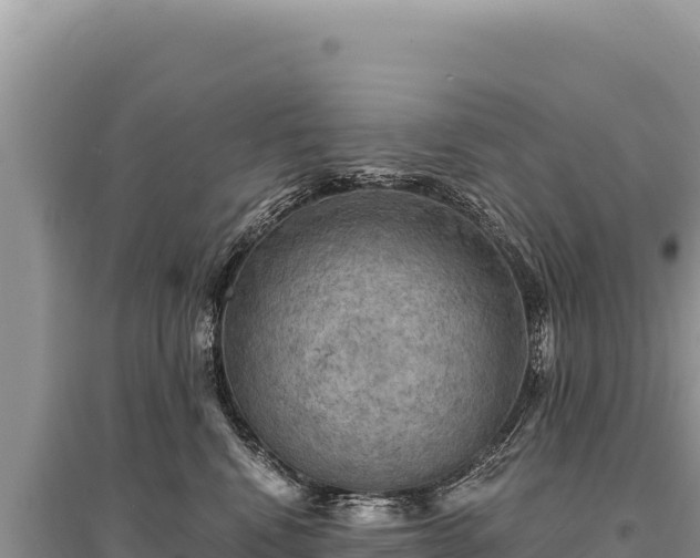 X0000095510472200712211244