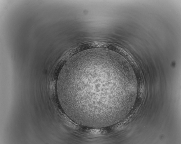 X0000095510473200712211244
