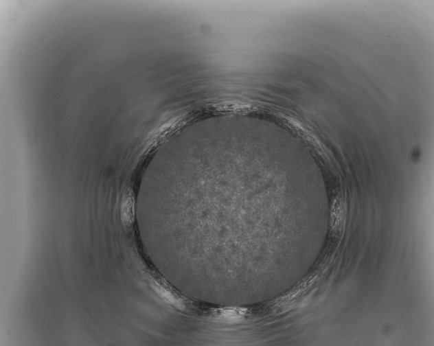 X0000095510474200712211244