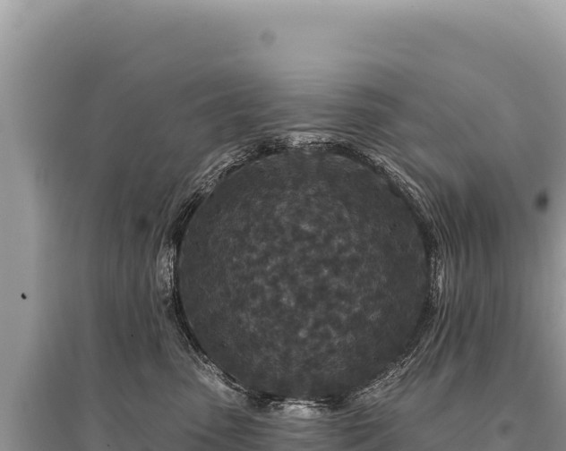 X0000095510475200712211244