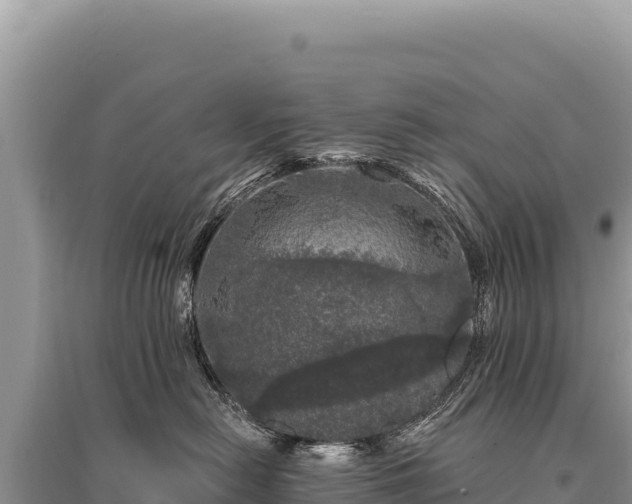 X0000095510478200712211244