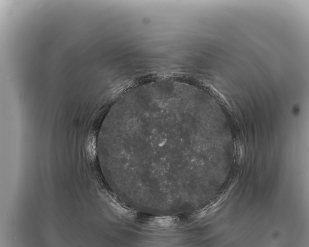X0000095510479200712211244